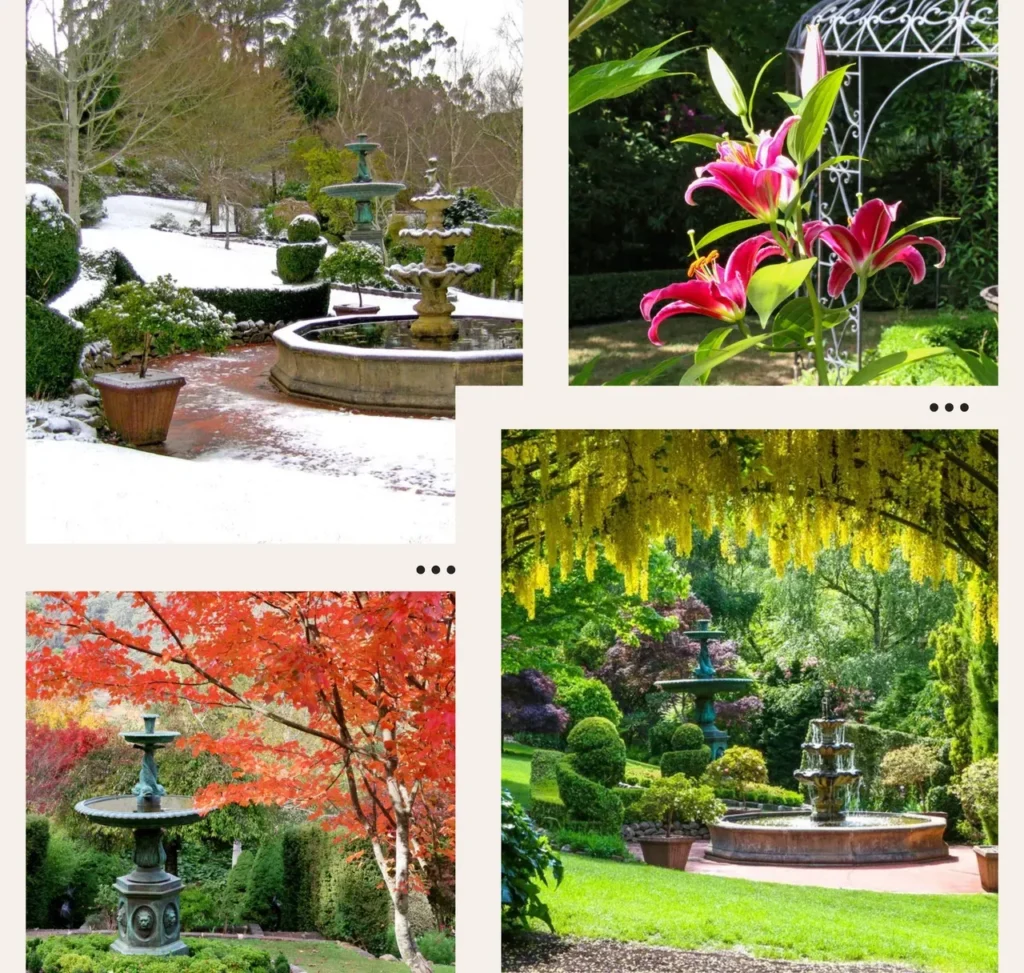 Forest Glade Gardens - Seasonal Delights