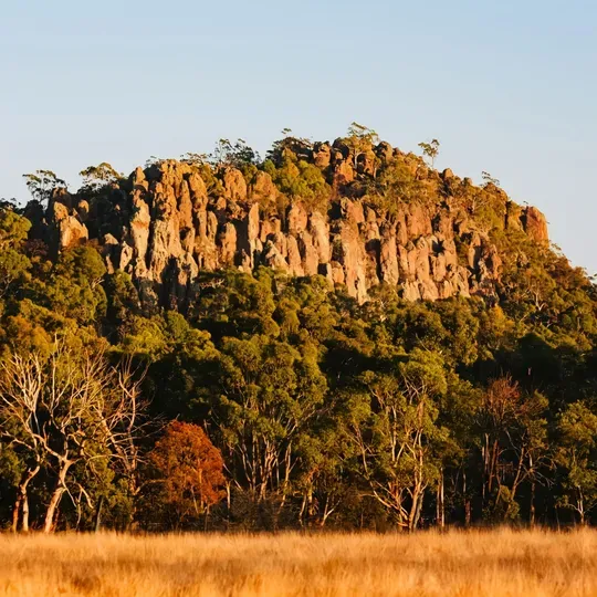 Visit Macedon Ranges