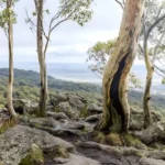 Visit Macedon Ranges