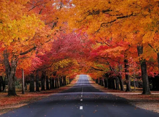 Macedon and Mt. Macedon Tourism