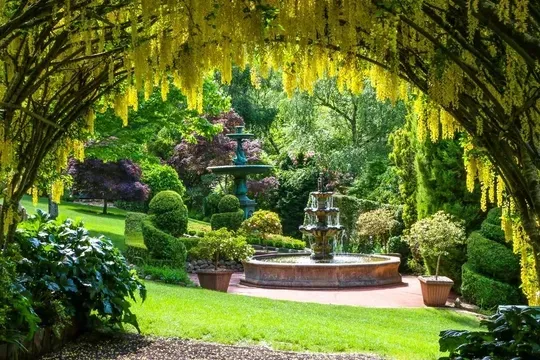 Forest Glade Gardens